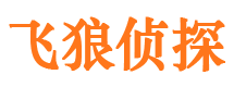 涿州市私家侦探